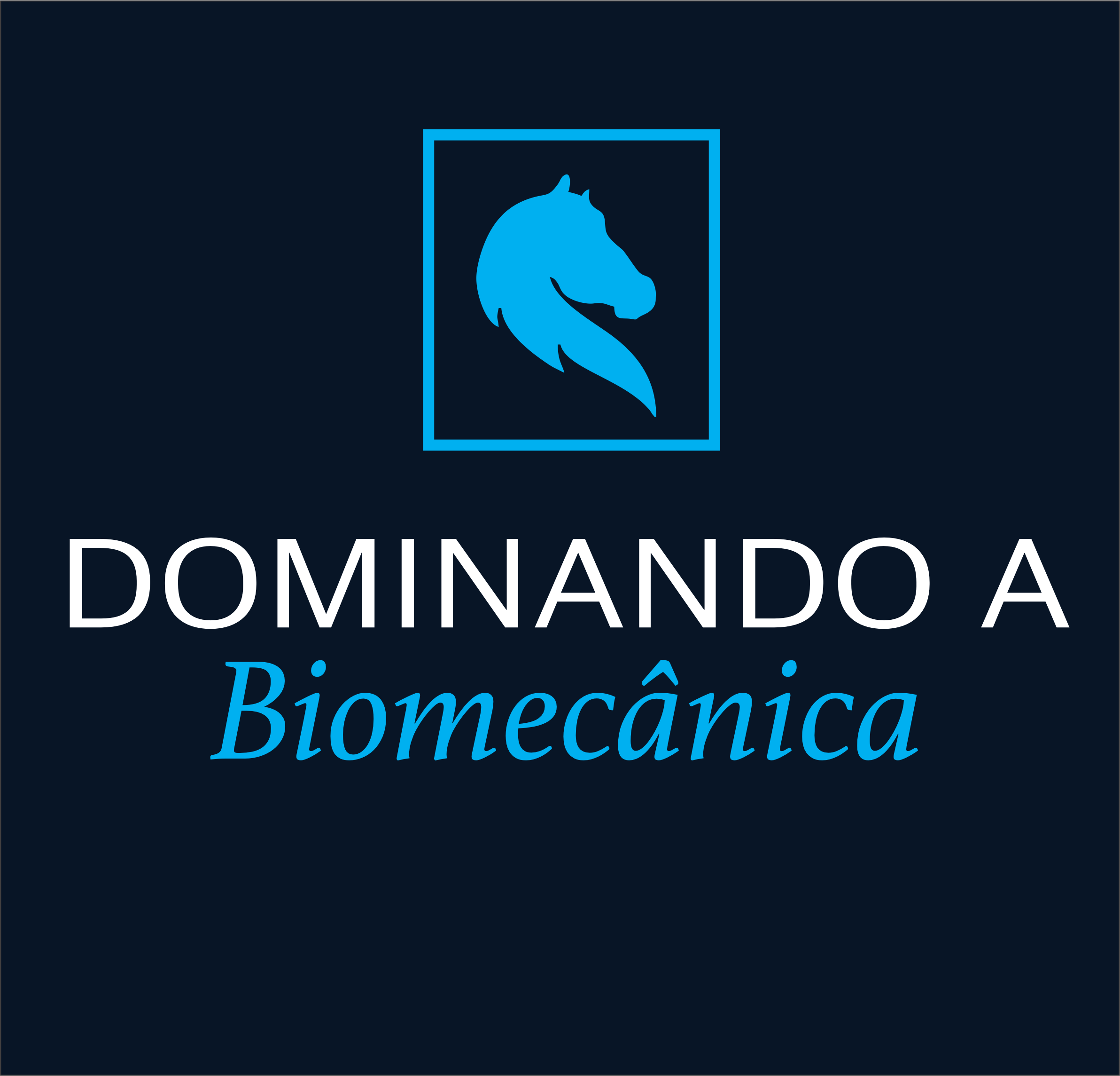 Dominando a Biomecânica em Equinos – VET – Medica Veterinária Dra. Gabriela Guenka