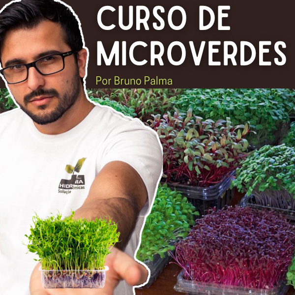 Curso de Microverdes – Por Bruno Palma
